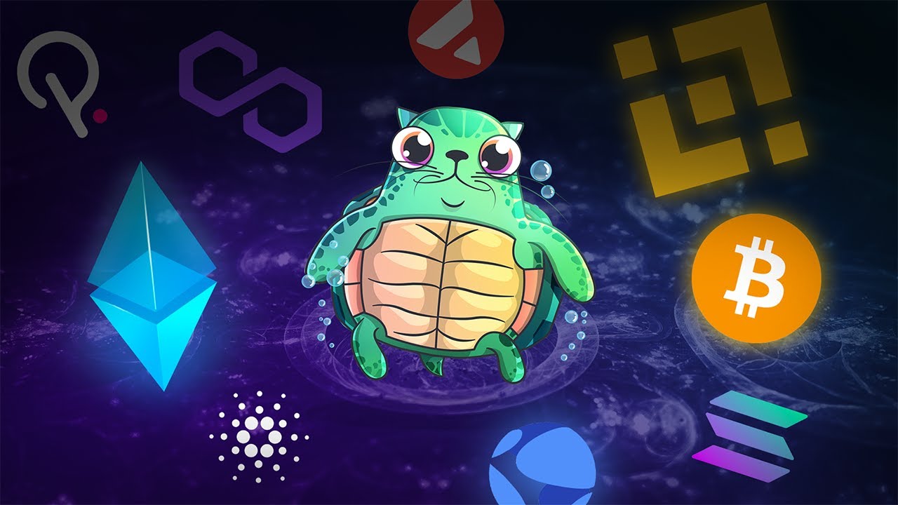 Whiteboard Crypto - Similar YouTube channels and user reviews